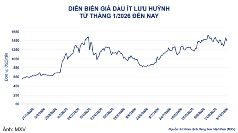 Giá đậu tương kỳ hạn tháng 11 tăng 1,1%, lên 474,7 USD/tấn