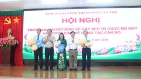 TP Cần Thơ công bố quyết định sắp xếp, tổ chức bộ máy các trường cao đẳng