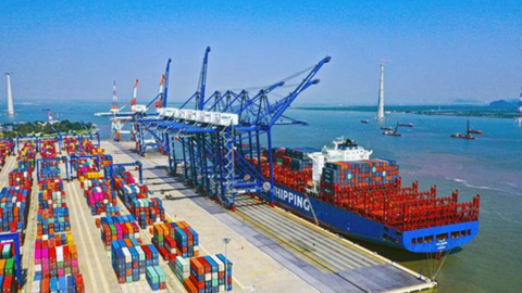 Dịch vụ biển Tân Cảng (TOS) sắp chia cổ tức năm 2023 bằng tiền, tỷ lệ 15%