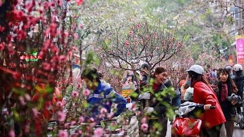 Chốt phương án nghỉ Tết Nguyên đán Nhâm Dần 2022