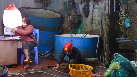 Chợ  "phương tiện" ông Công ông Táo trầm lắng, giá cá giảm người mua cũng giảm