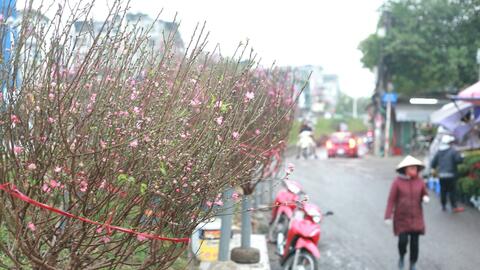 Dự báo thời tiết ngày 27/1: Miền Bắc trời ấm, sáng sớm có mưa phùn