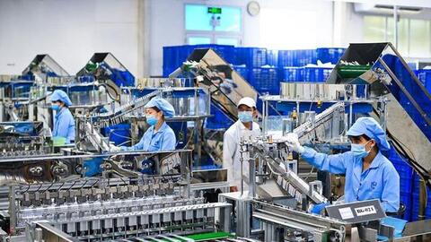 Nhiều doanh nghiệp làm việc xuyên Tết