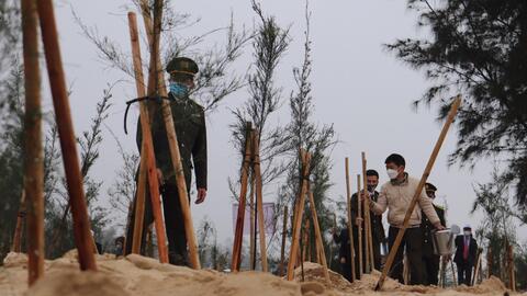 Quảng Bình: "Tết trồng cây đời đời nhớ ơn Bác Hồ " Xuân Nhâm Dần năm 2022