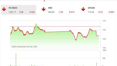 Tiền đổ vào dầu khí bất chấp VNINDEX giảm điểm