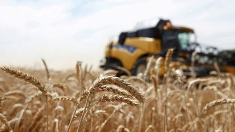 Không chỉ giá dầu, xung đột giữa Nga và Ukraine có thể khiến giá lương thực thế giới tăng mạnh