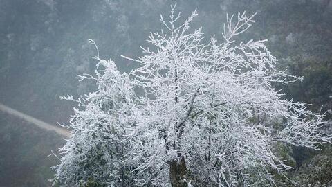 Không khí lạnh tràn về, vùng núi có thể xuống 0 độ C