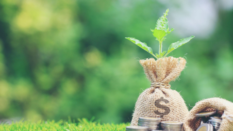 Lịch chốt quyền nhận cổ tức bằng tiền của 6 doanh nghiệp