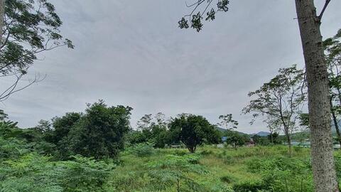 Đầu tư bất động sản vùng ven trong năm qua, nhà đầu tư thắng lớn