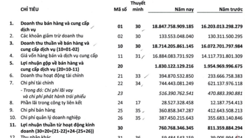 Cổ phiếu GEE tăng kịch trần 40% ngày chào sàn, Gelex Electric công bố lãi 655 tỷ đồng năm 2021