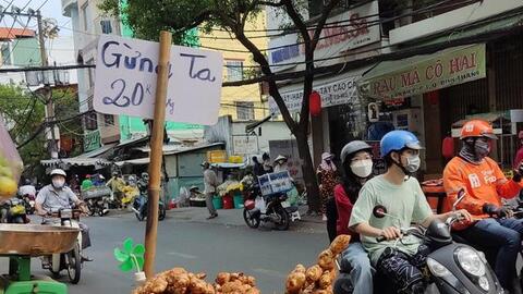 Giá gừng rẻ chưa từng có