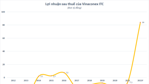 Sau nhiều năm thua lỗ triền miên, Vinaconex ITC (VCR) bất ngờ lên kế hoạch chuyển lãi trăm tỷ
