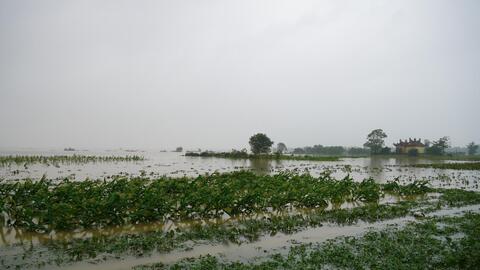 Quảng Trị đề xuất Chính phủ hỗ trợ khôi phục sản xuất do mưa lũ cực đoan