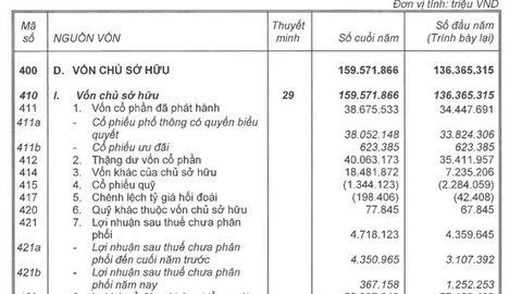 Lợi nhuận sau thuế chưa phân phối của VinGroup tăng 821 tỷ đồng sau kiểm toán
