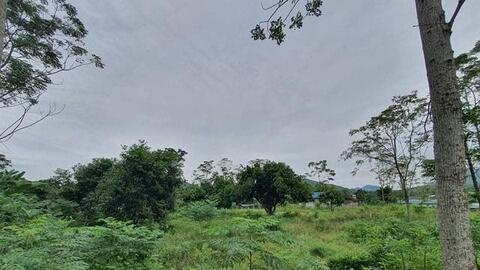 Đã đến lúc thị trường bất động sản phải thanh lọc?