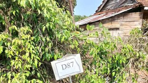 "Cò đất" cắm bảng quy hoạch giả để thổi giá đất