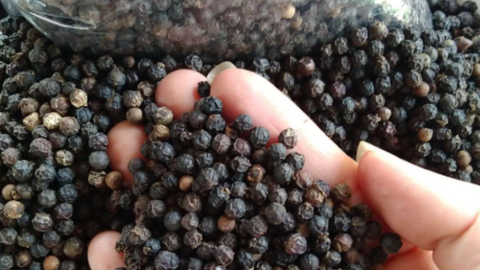 Thị trường thực phẩm ngày 25/4: Giá lợn hơi cao nhất ở mức 57.000 đồng/kg, thịt bò, tôm sú giảm giá tại các siêu thị, giá tiêu giảm nhiều phiên liên tiếp