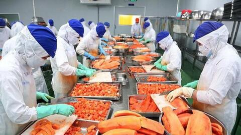 Xuất khẩu nông sản tăng vọt, lộ diện nhóm sản phẩm vượt mốc 1 tỷ USD