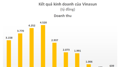 Sau 2 năm lỗ lớn, Vinasun (VNS) bổ nhiệm tân Tổng giám đốc trong bối cảnh “bằng mọi giá phải có lãi”