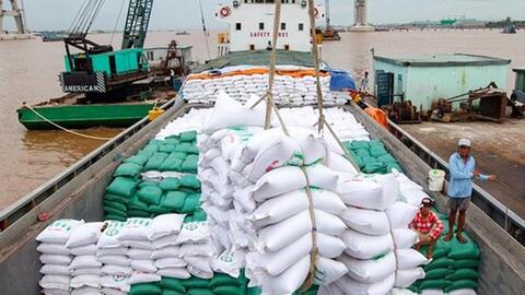 Xuất khẩu gạo sang EU tăng mạnh nhờ EVFTA