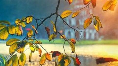 Dự báo thời tiết ngày 17/5: Bắc Bộ nhiệt độ tăng nhẹ, trưa chiều hửng nắng