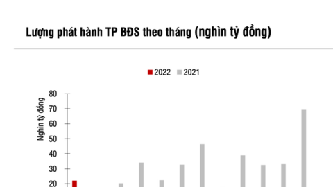 SSI Research: Lượng trái phiếu bất động sản tháng 4 giảm mạnh, doanh nghiệp ồ ạt mua lại trái phiếu trước hạn