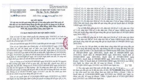 Nghệ An: Đất đấu giá bị bỏ cọc, người có tiền lao đao sau cơn sốt