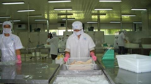 Xuất khẩu thủy sản giảm tốc, dự báo quý III đạt khoảng 3 tỷ USD