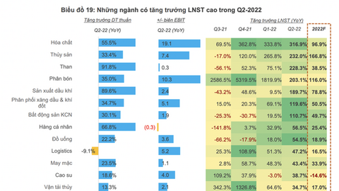 Nhiều nhóm ngành có triển vọng tươi sáng trong những tháng cuối năm 2022