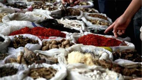 Xuất khẩu dược liệu liên tục tăng