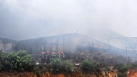Cháy trang trại sản xuất nấm lớn nhất tỉnh Lâm Đồng