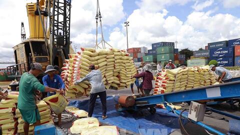 Đắt hàng, doanh nghiệp xuất khẩu gạo 'căng não' chọn đơn