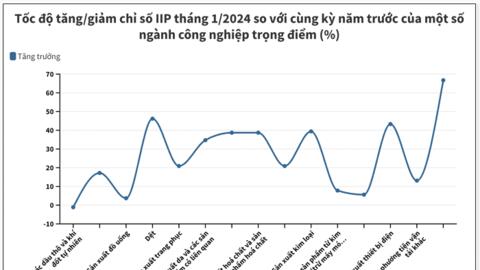 IIP tháng 1 ước tính tăng 18,3% so với cùng kỳ năm trước