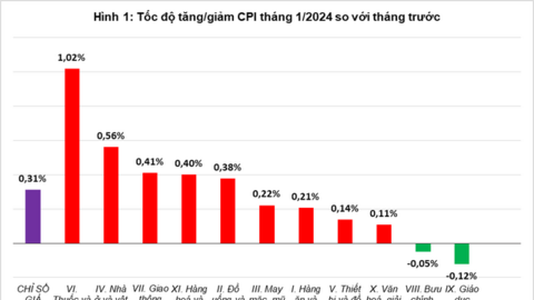 Yếu tố nào thúc đẩy CPI tháng đầu năm 2024 tăng 0,31%?