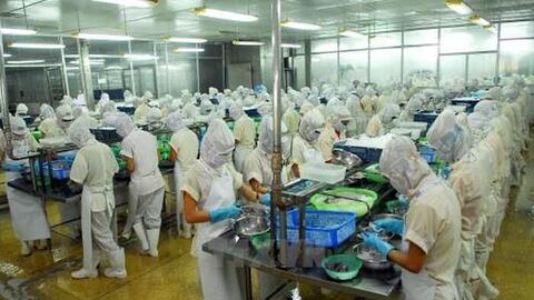 VASEP kiến nghị xem xét bãi bỏ hạn ngạch đối với tôm xuất khẩu vào Hàn Quốc