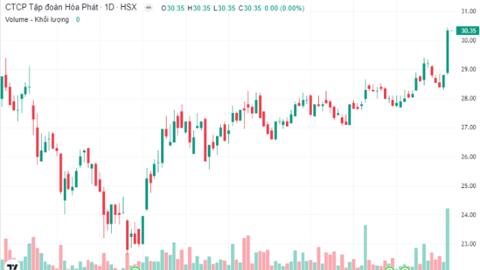 HPG nổi sóng, tài sản gia đình tỷ phú Trần Đình Long tăng hơn 600 triệu USD