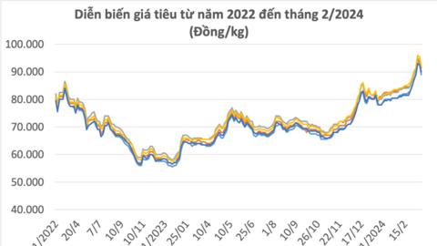 Giá tiêu nguyên liệu, cước tàu tăng phi mã đè nặng lên các doanh nghiệp xuất khẩu