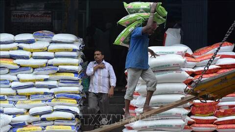 Giá gạo Ấn Độ vẫn ở mức cao do nguồn cung hạn chế