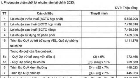 Sacombank chưa có kế hoạch chia cổ tức trong năm 2024