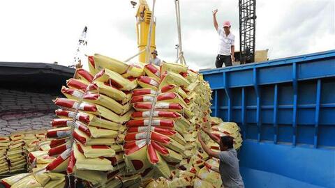 Tận dụng cơ hội thị trường, thúc đẩy sản xuất, xuất khẩu gạo