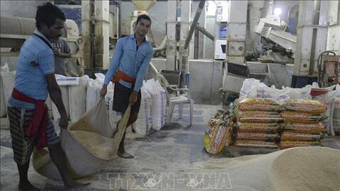 Giá gạo và cà phê thế giới đồng loạt giảm trong tuần qua