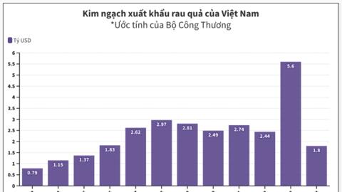 Tiếp tục lập kỷ lục trong tháng 4, ngành rau quả phấn đấu lập đỉnh mới