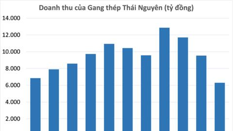 Gang Thép Thái Nguyên thu hơn 6.200 tỷ đồng trong 5 tháng, hé lộ tiến độ xử lý dự án Tisco 2