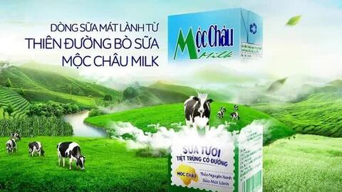 Doanh nghiệp do bà Mai Kiều Liên làm chủ tịch sắp lên sàn HoSE