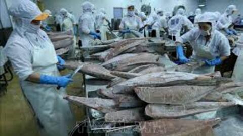 Xuất siêu nông, lâm, thủy sản đạt gần 12 tỷ USD, tăng 68%