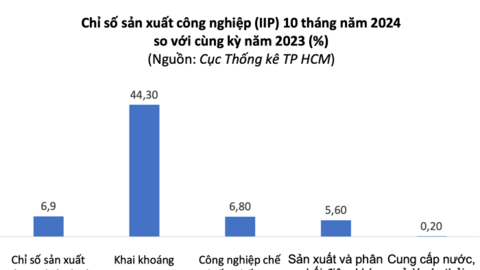 Toàn cảnh bức tranh kinh tế TP HCM 10 tháng đầu năm