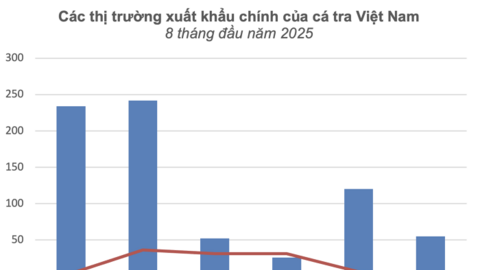 Vượt thách thức thương mại, xuất khẩu cá tra đạt 1,4 tỷ USD sau 8 tháng