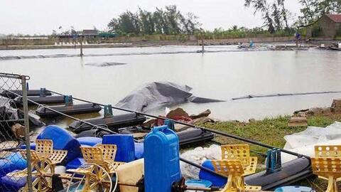 Tín dụng chính sách – điểm tựa vững chắc cho người dân Hà Tĩnh sau thiên tai