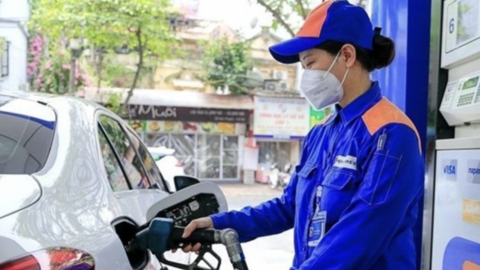 Giá xăng dầu dự báo sẽ giảm trong ngày mai (11/12)