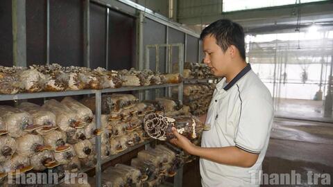 Miễn thuế thu nhập 3 năm cho doanh nghiệp nhỏ và vừa